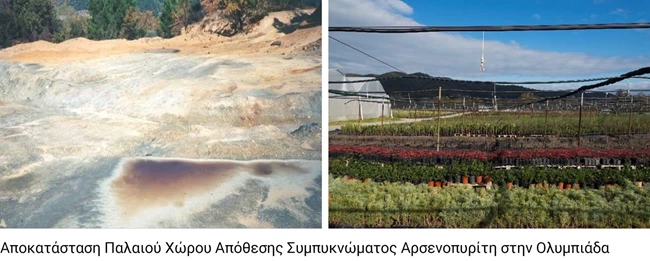Ολυμπιάδα Χαλκιδικής: Άνθισε ξανά μεγάλη έκταση μετά από έργα αποκατάστασης της Ελληνικός Χρυσός