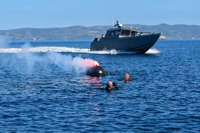 seals