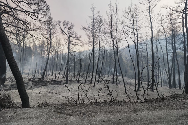 Μαίνεται η φωτιά στη Βόρεια Εύβοια: Εκκενώνονται Κεχριές, Αμέλαντες και Κεραμειά