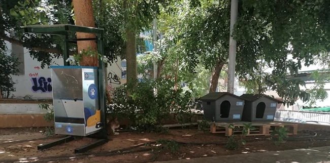 αδέσποτα