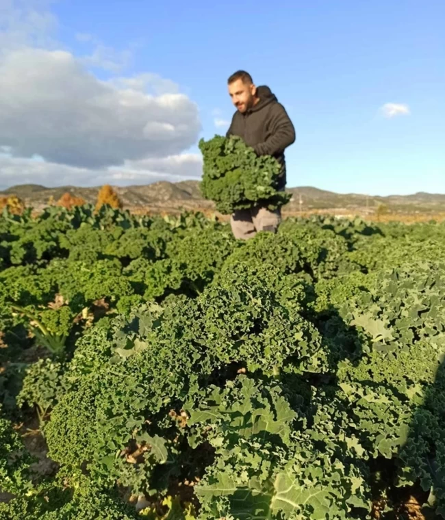 ΤΗΛΕΜΑΧΟΣ ΒΑΜΒΑΚΟΥΣΗΣ