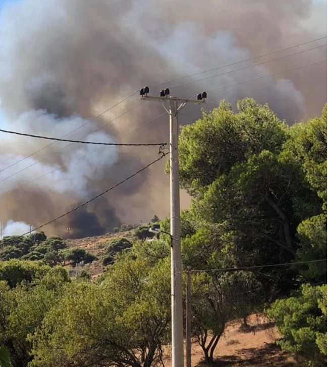 Μεγάλη φωτιά στο Λαύριο: Εκκενώθηκαν τέσσερις οικισμοί- Κάηκαν σπίτια στο Μαρκάτι, λέει ο δήμαρχος