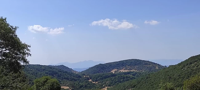 ΜΑΚΙΣΤΟΣ ΒΟΥΝΟ 1