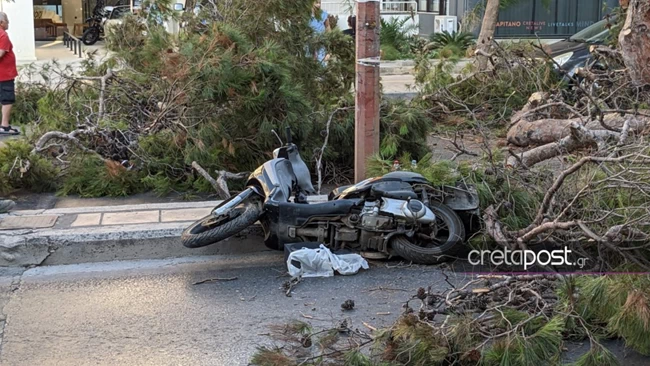 Ατύχημα δέντρο Κρήτη