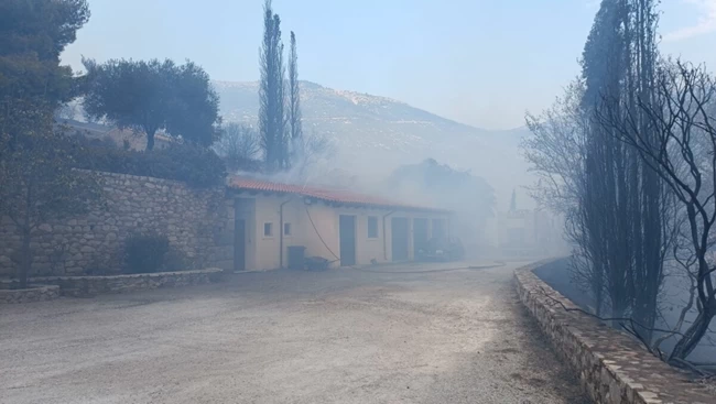 ΦΩΤΙΑ ΜΟΝΗ ΟΣΙΟΥ ΛΟΥΚΑ