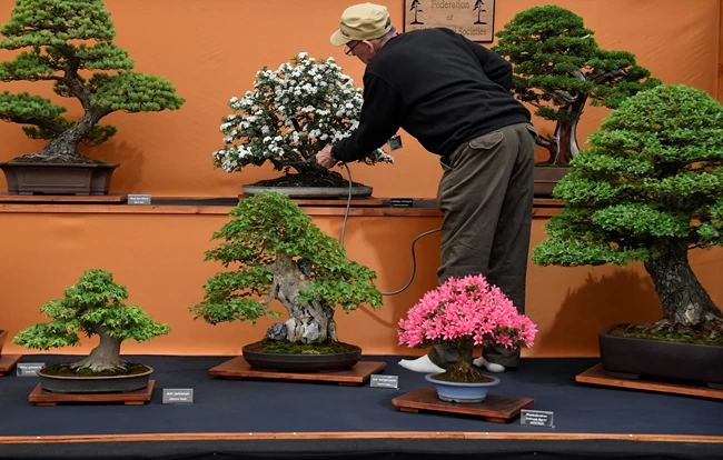 Chelsea Flower Show