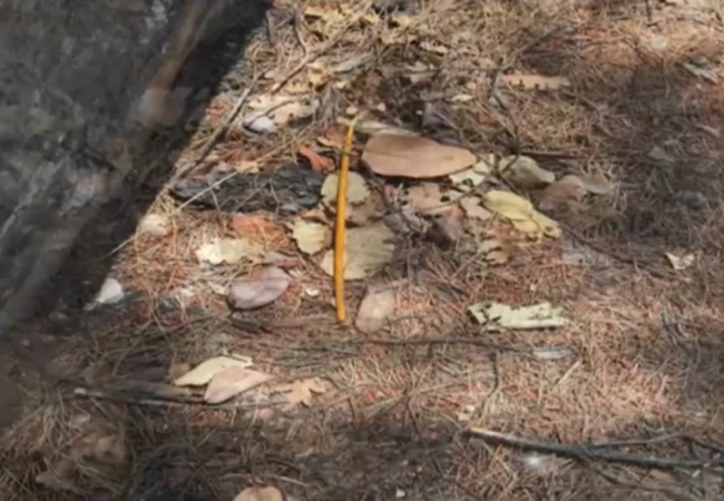 ΕΜΠΡΗΣΤΗΣ ΚΕΡΙΑ