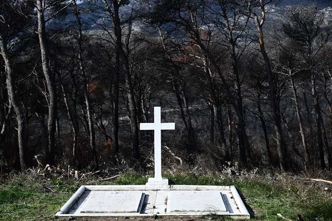 Τατόι