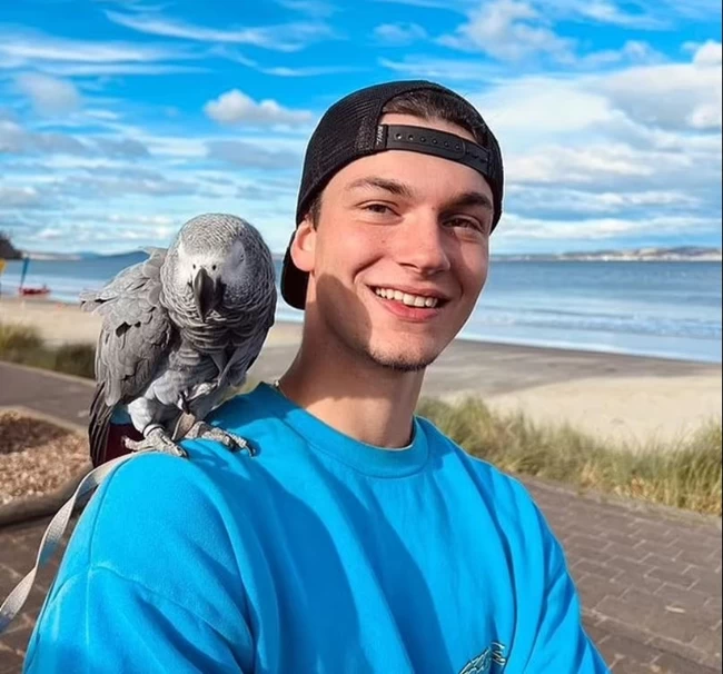 ΑΥΣΤΡΑΛΙΑ ΚΑΡΧΑΡΙΑΣ