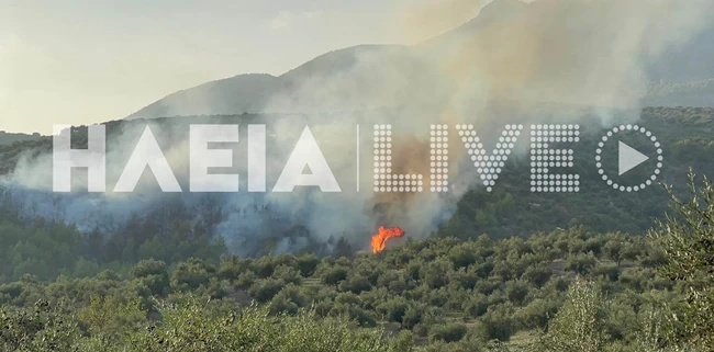 ΦΩΤΙΑ ΖΑΧΑΡΩ