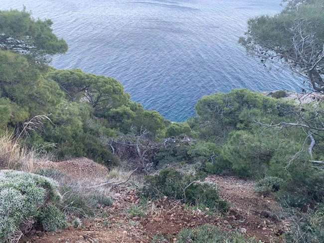 Τραγωδία στην Κερατέα: Νεκρός ο 25χρονος οδηγός του αυτοκινήτου που έπεσε σε γκρεμό 70 μέτρων