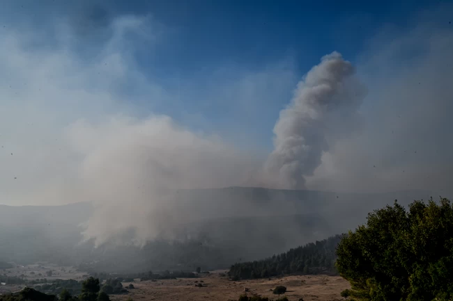 ΠΥΡΚΑΓΙΑ ΒΙΛΙΑ ΜΕΤΩΠΟ