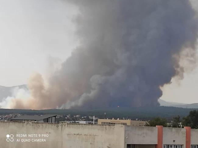 βαρυμπόμπη φωτιά
