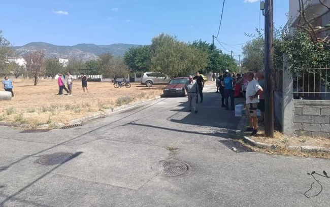 ΦΩΤΙΑ ΑΣΠΡΕΣ ΠΕΤΑΛΟΥΔΕΣ