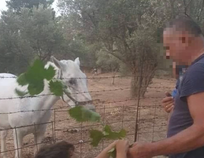 αστυνομικος λεσβος