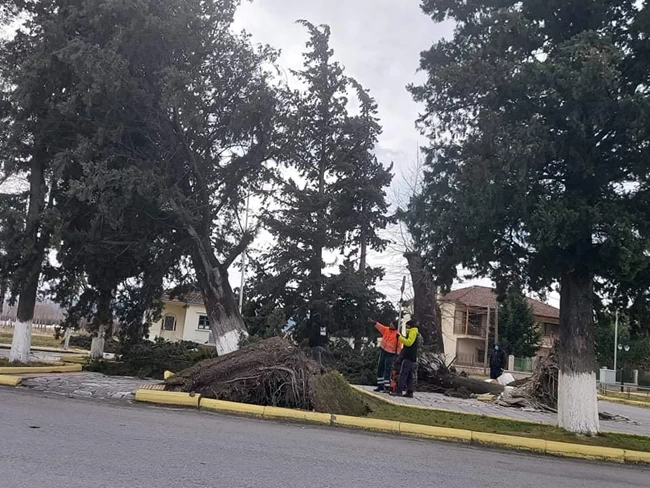 πελλα καταστροφες