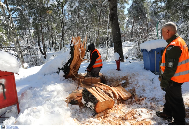 εργασίες αποκατάστασης