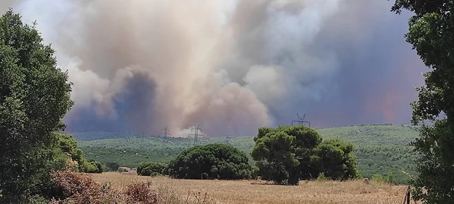 Φωτιά Δερβενοχώρια