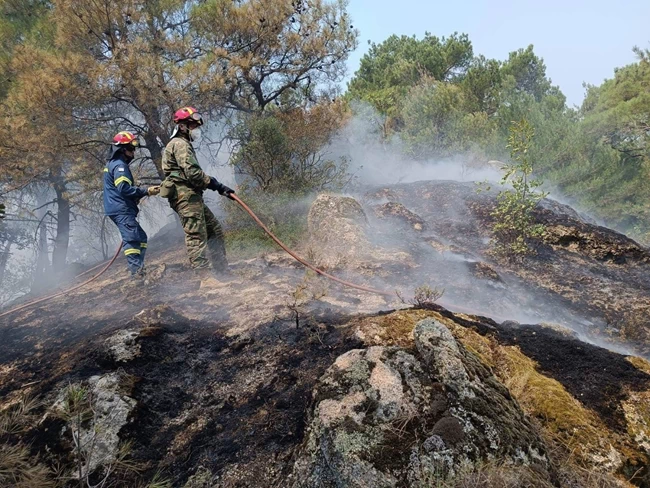 Φωτιά στη Δαδιά: Σκληρή μάχη με τις φλόγες στο νοτιοδυτικό πύρινο μέτωπο - O άνεμος "άνοιξε" την πυρκαγιά