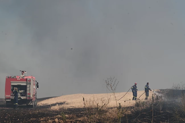 Συνεχίζεται η μάχη με τις φλόγες: Αναζωπύρωση στο Σέσκλο Μαγνησίας - Μέτωπο σε δύσβατη περιοχή στη Ρόδο
