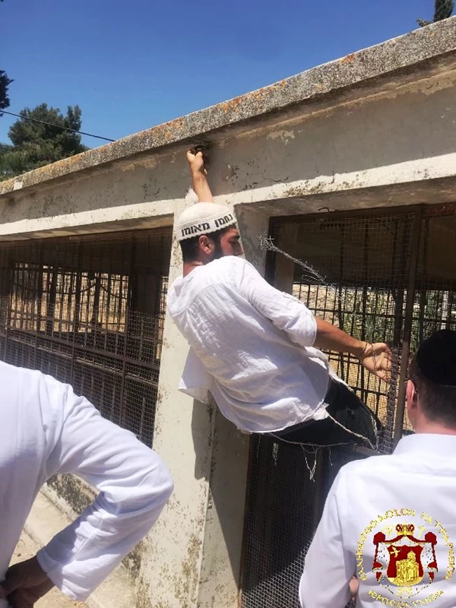 Πατριαρχείο Ιεροσολύμων: Ισραηλινοί εξτρεμιστές βανδάλισαν ελληνορθόδοξο παρεκκλήσι - Παρέμβαση ΥΠΕΞ [εικόνες - βίντεο]