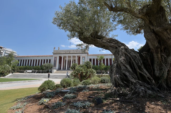 Εθνικό Αρχαιολογικό Μουσείο κήπος