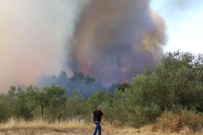 ΦΩΤΙΑ ΜΑΡΚΟΠΟΥΛΟ