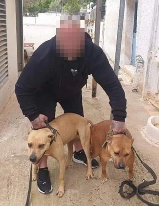 μπραβοι του πειραια