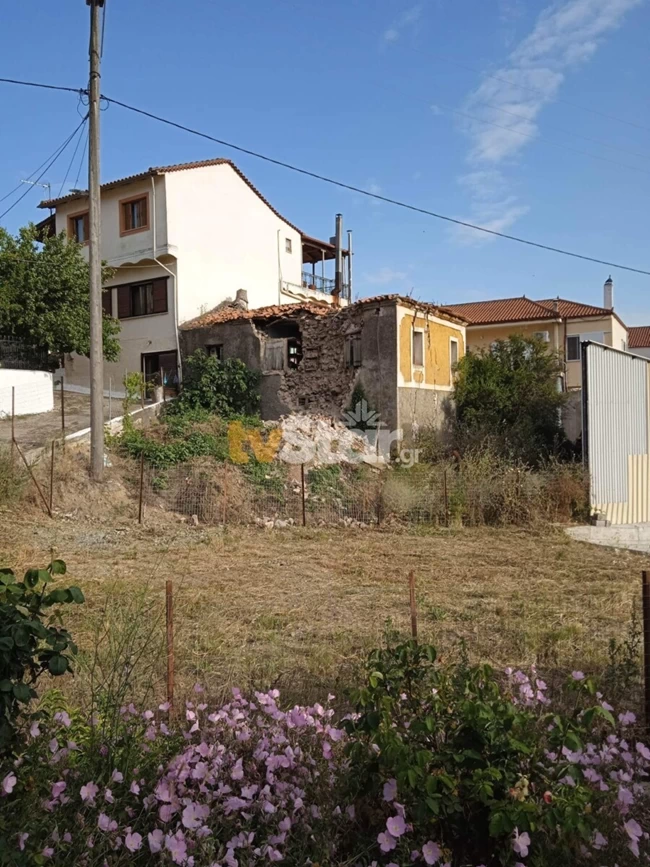 ΣΕΙΣΜΟΣ ΖΗΜΙΕΣ ΑΤΑΛΑΝΤΗ