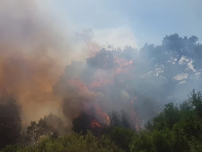 φωτιά Έβρος