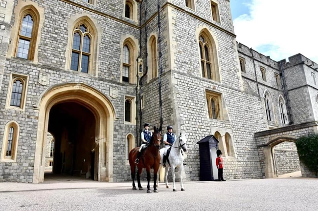 QUEEN HORSES