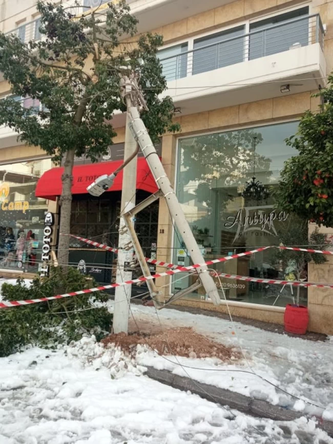 Θλίψη και οργή στο Ελληνικό: Φρικτός θάνατος σκυλιού από ηλεκτροπληξία από κομμένα καλώδια της ΔΕΗ