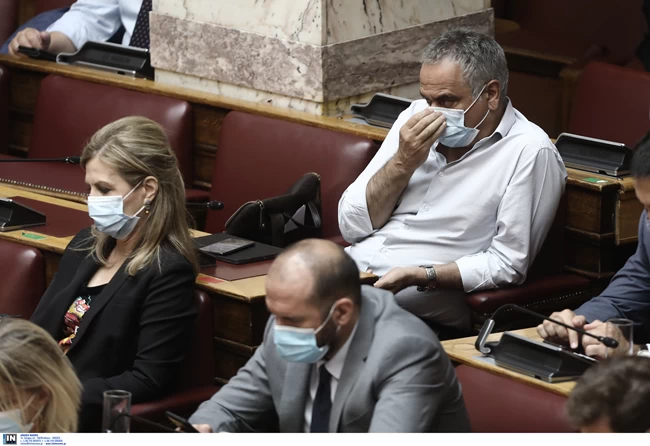 ΒΟΥΛΗ ΜΑΣΚΑ