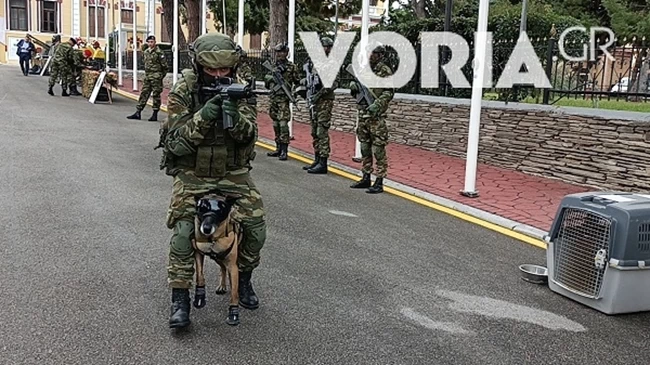 ΣΚΥΛΟΣ ΜΑΧΗΣ