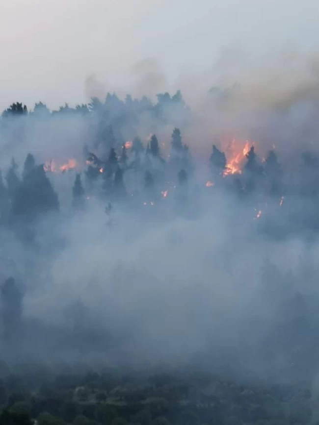 Φωτιά στη Χαλκιδική: Βελτιωμένη η εικόνα στα μέτωπα - Ισχυρές δυνάμεις της πυροσβεστικής