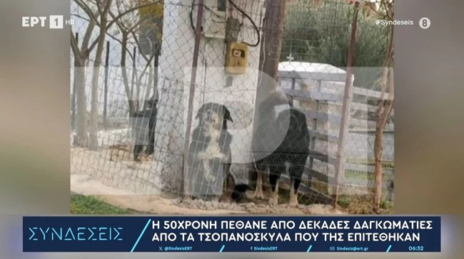 Πώς τιμωρήθηκε ο ιδιοκτήτης ενός ροτβάιλερ, που το 2016 κατασπάραξε ενα 5χρονο αγόρι;- Ποινή 4 έτη, εξαγοράσιμα, ούτε μια ημέρα φυλακή