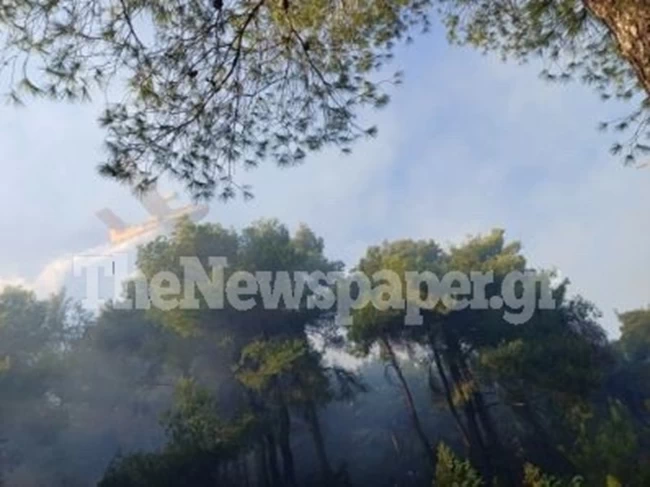 Φωτιά Πήλιο
