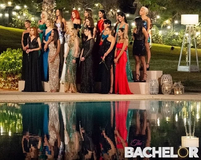 The-Bachelor