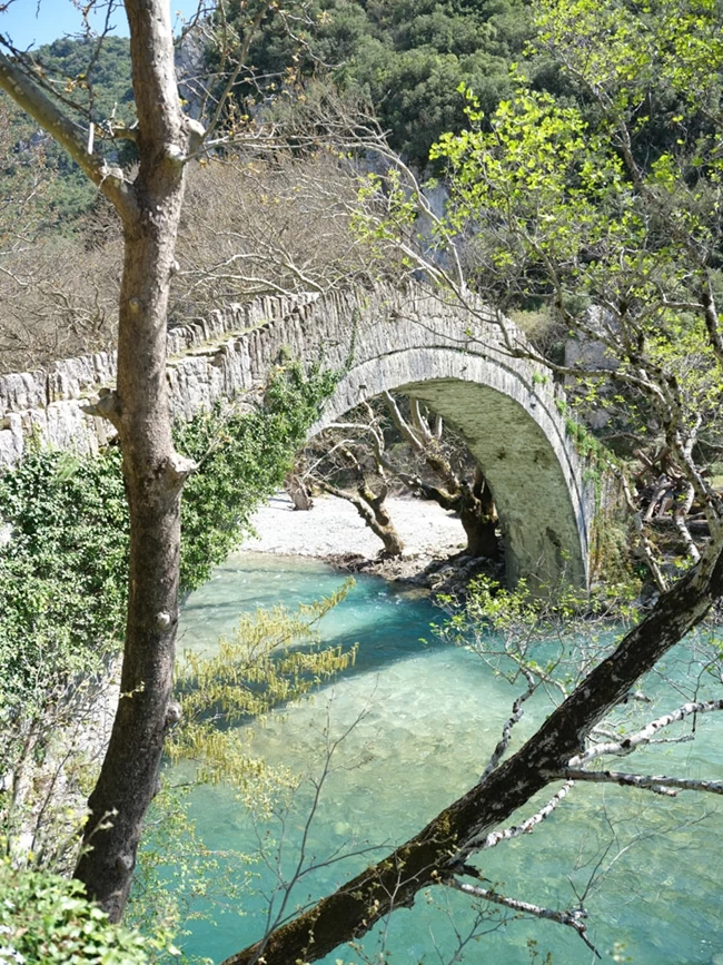 βικος