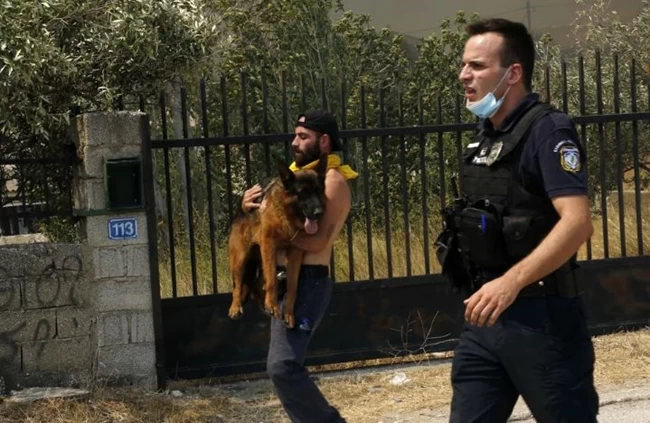 ΖΩΑ ΠΑΡΝΗΘΑ