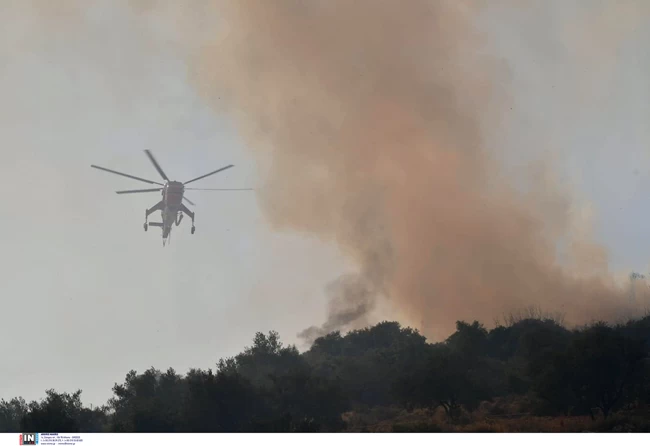 φωτιά Αργολίδα