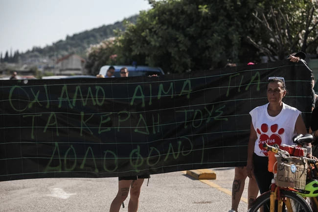 ΑΤΤΙΚΟ ΖΩΟΛΟΓΙΚΟ ΠΑΡΚΟ