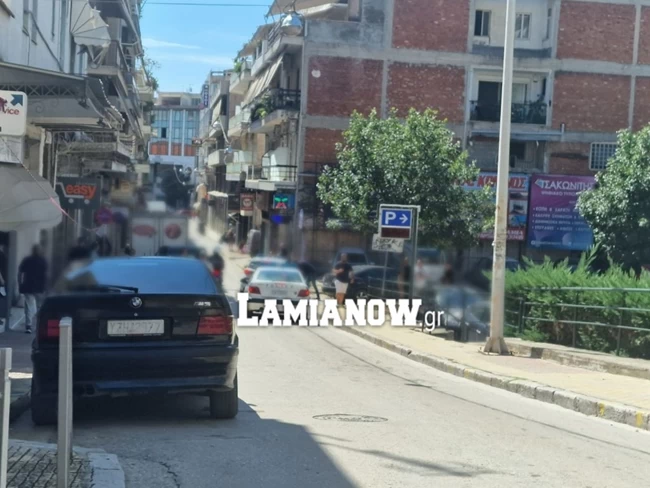Λαμία ξύλο