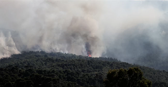 Φωτιά στον Σχίνο: Αγωνία - Νέο μήνυμα 112 - Εκκενώνονται ακόμα 4 οικισμοί και μια μονή - Εφτασε 8 χλμ από τα Μέγαρα η πυρκαγιά