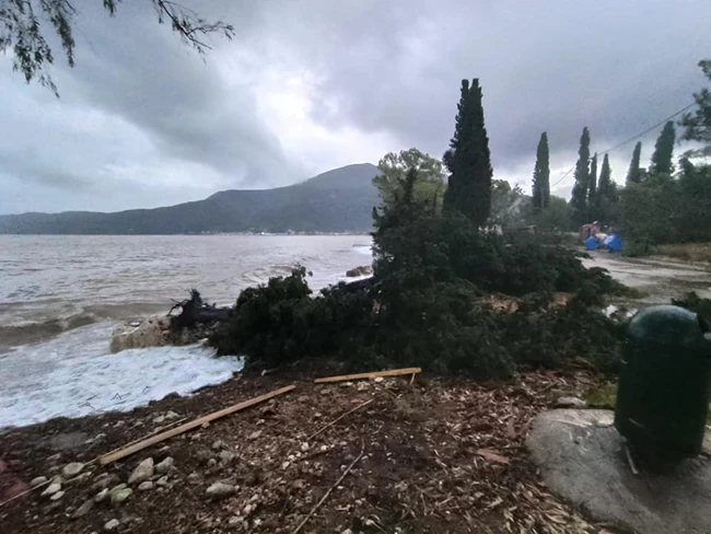 Ιανός Κεφαλλονιά