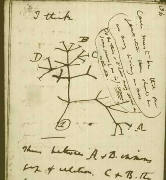Απίστευτο: Κλοπή σημειωματαρίων του Δαρβίνου από το Κέμπριτζ δηλώθηκε 20 χρόνια αργότερα - Τι συνέβη