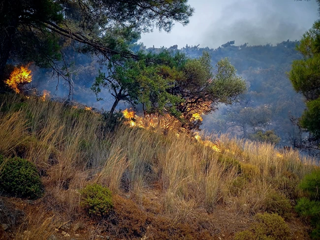 Χωρίς ενεργά μέτωπα οι φωτιές σε Ρόδο, Κέρκυρα και Μαγνησία - Παραμένουν στα σημεία επίγειες δυνάμεις