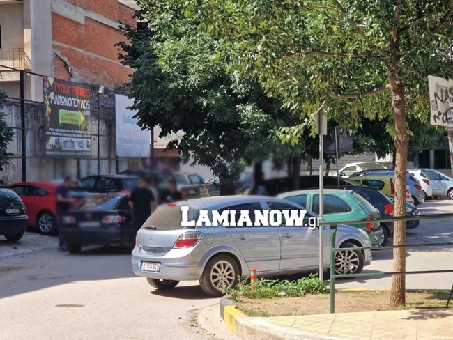 Λαμία ξύλο