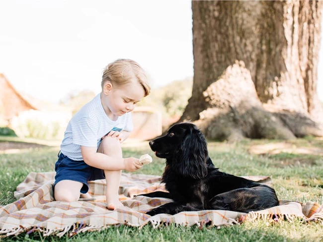 PRINCE GEORGE