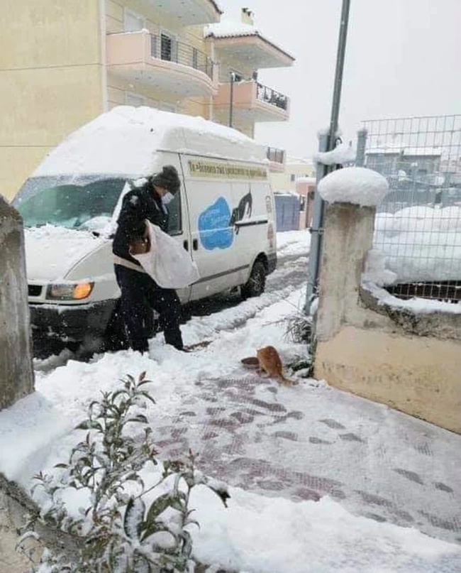 Δήμος Αθηναίων Μήδεια